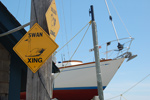 Swan Crossing at JBY